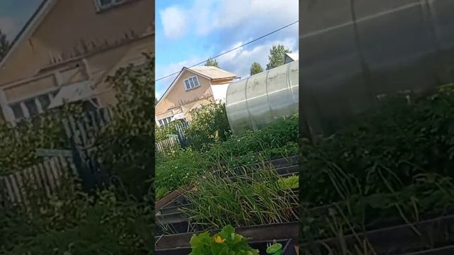 выдаёт только мужиков.см Влог от 06.08.22 деликатесы на session