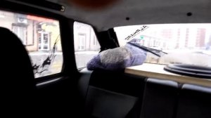 hannibal FX-15 флэкс 2