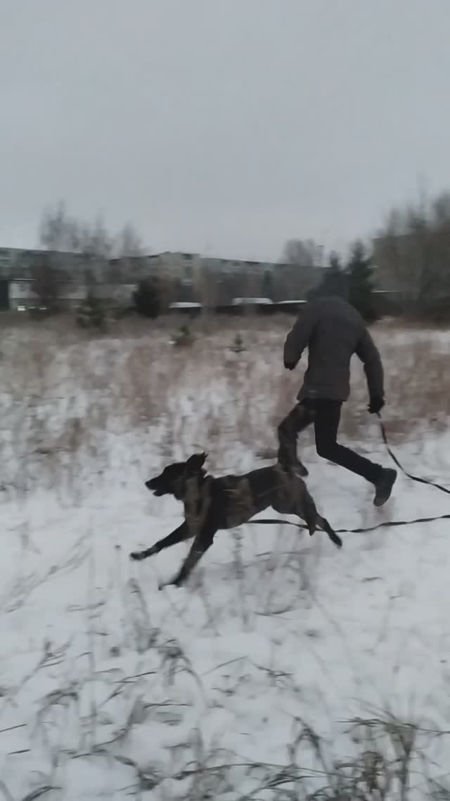 Начало жизни с Майком