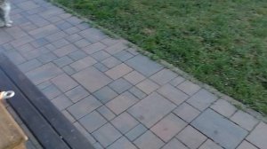 16.04.2025.Котики Ляхово. Домодедово. Московская область. | Владимир Дьячковhttps://t.me/tvregion_un