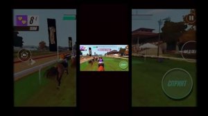 скачки на лошадях пожалуйста подпишись