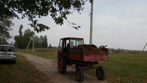 Возим навоз на Т-16,он же Шасик,он же Пердунок,он же Попрошайка