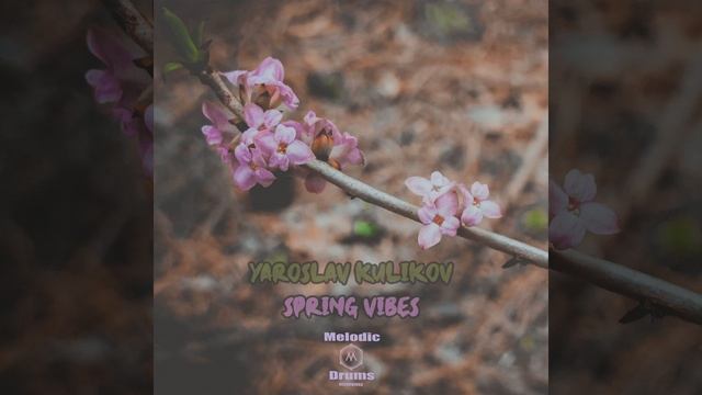 Spring Vibes смотреть онлайн