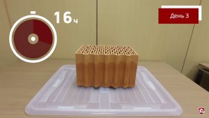 Тест керамического блока Porotherm на высыхание