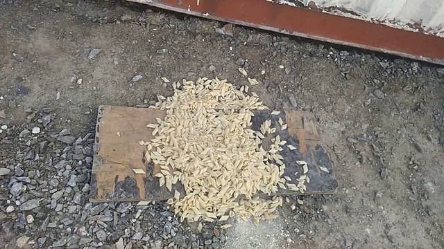 Каспии цемент смотреть онлайн