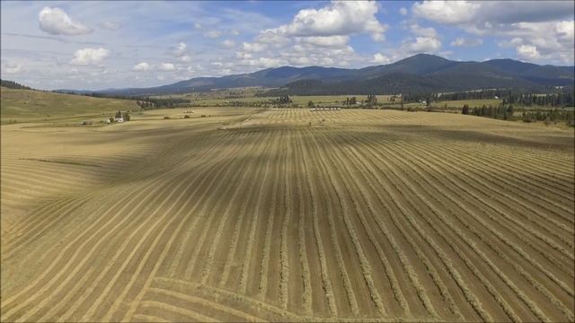 Drone Camera HD || Day on the Farm | Agriculture UAV Technology