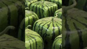 Что ты за " фрукт" в Божьем саду?