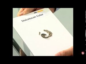Принцип действия эффекта самоочищения (эффект лотоса) краски StoColor Lotusan