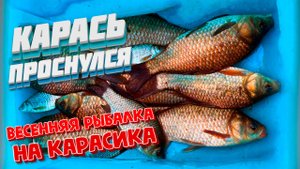 Карась проснулся! Нарские пруды весенняя рыбалка на карася