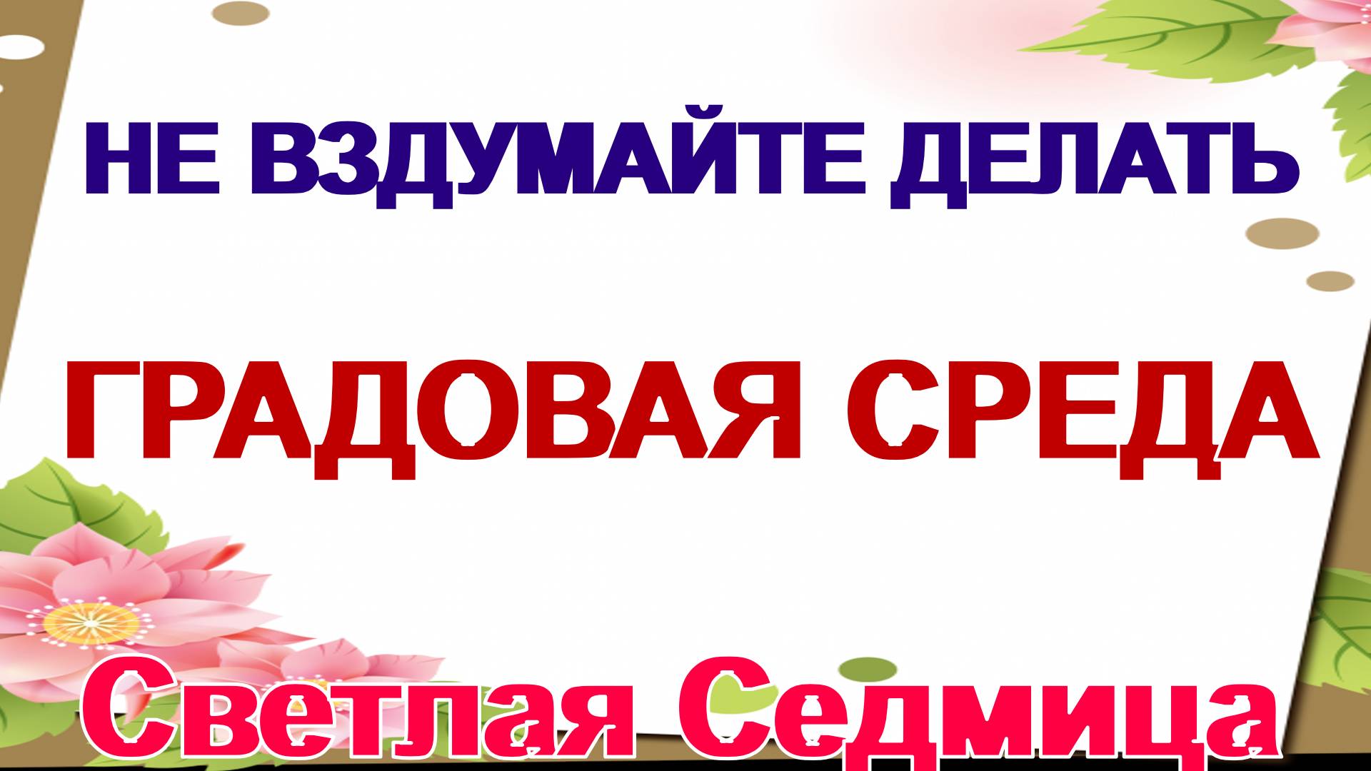 23 апреля. Светлая среда.Утро начинается с этого.