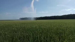 Полив газона на поле
