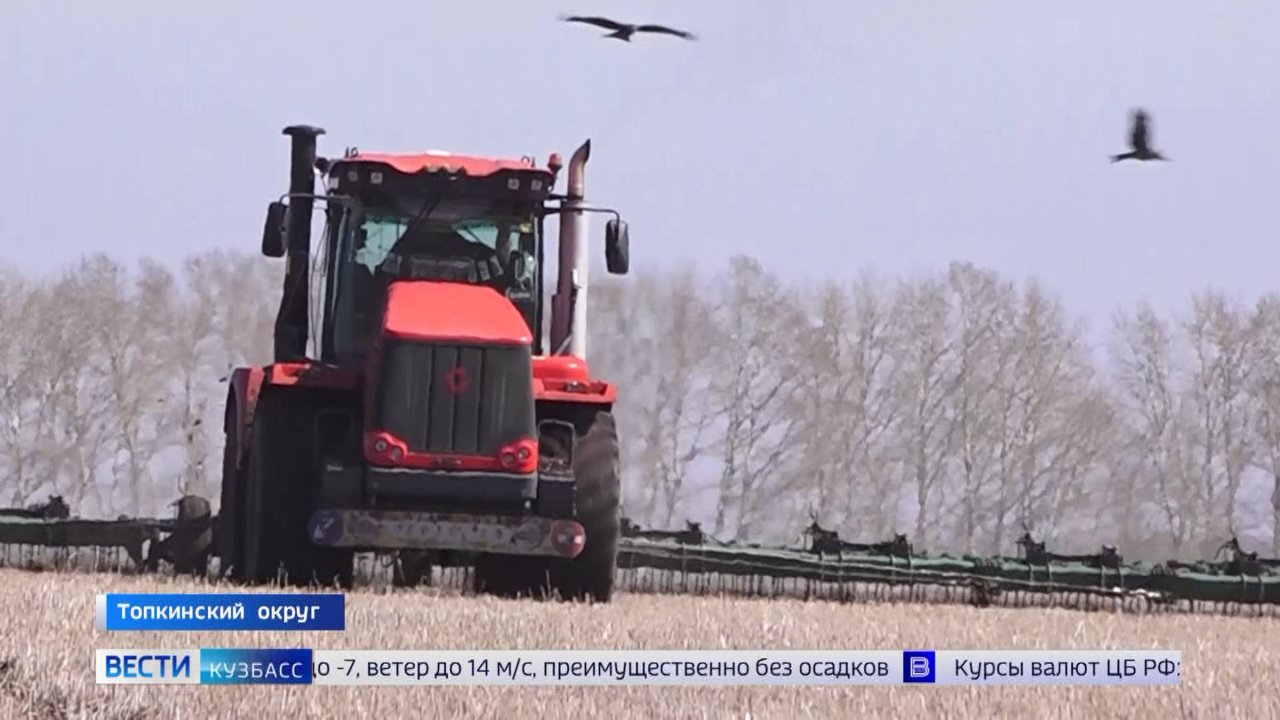 Секрет кузбасского зерна: фермеры региона готовятся к началу посевной