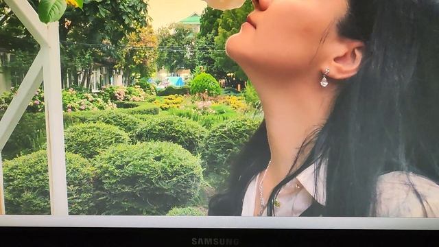 Алес Капут компьютеру((