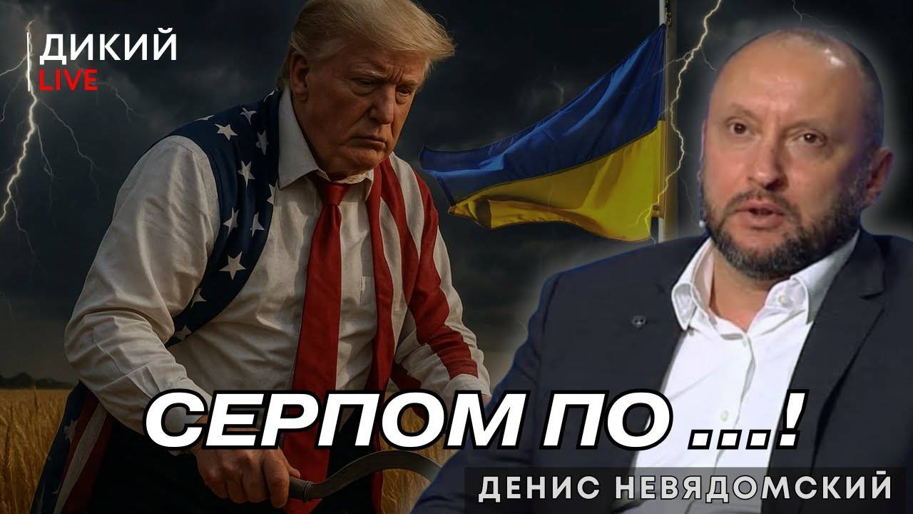 Военное положение,где перемирие,санкции СНБО, 10 лет убийства Бузины. Денис Невядомский. Дикий LIVE