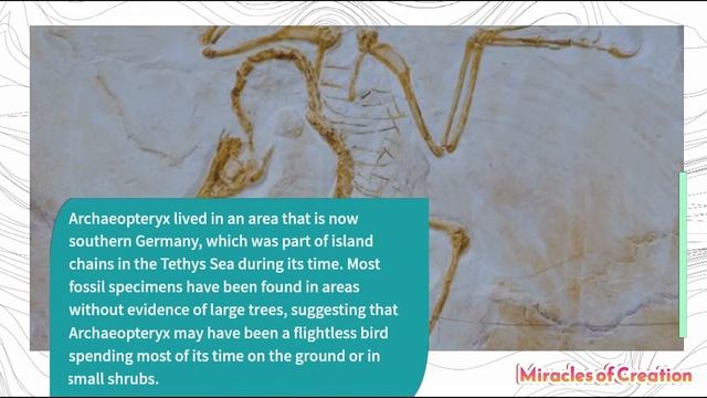 Archeopteryx The Flying Reptile смотреть онлайн