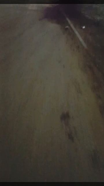 Активизируемся!