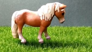 Топ 10 моих любимых пони шляйх