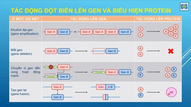 JCS 36: Ung thư dưới góc nhìn sinh học phân tử - phần 2.