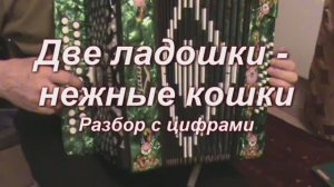 Две ладошки - нежные кошки. (063 гармонь с цифрами)