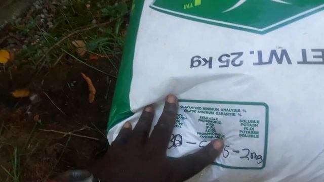 How to fertilize lawn like a pro смотреть онлайн