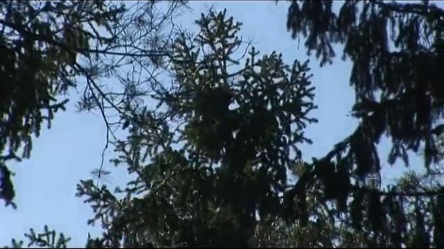 Работа Бека по кунице смотреть онлайн