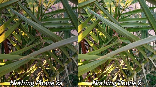 Nothing Phone 2a Vs Nothing Phone 2 Camera Test results смотреть онлайн