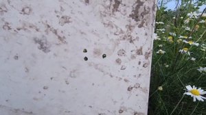 Пневматическая винтовка Хатсан страйкер эдж. Отзыв. Тест на пробитие.