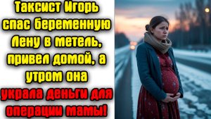 Таксист Игорь спас беременную Лену в метель, а утром она украла деньги для маминой операции!