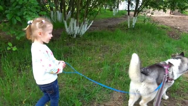 Лайк Настя (Like Nastya) -  Забавные волшебные сны маленькой девочки о собаке хаски - видео для дете