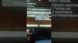 Я играю в minecraft
