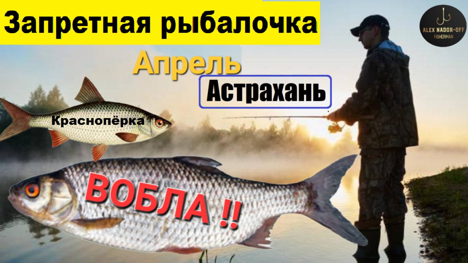 🔥ЗАПРЕТНАЯ ВОБЛА🔥 Бешенный КЛЁВ на Волге в АПРЕЛЕ !!! Диалоги о рыбалке в АСТРАХАНИ....