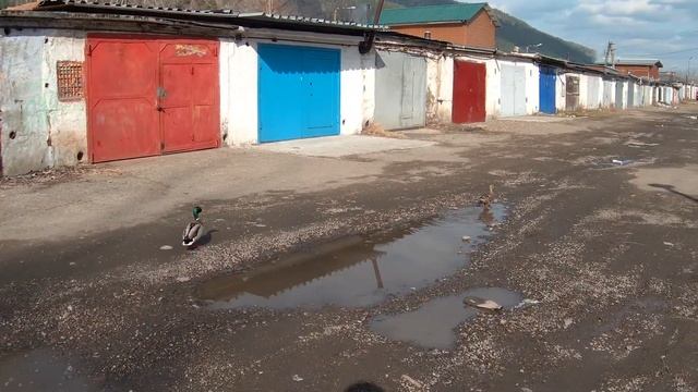 Утки в гаражах, и всё им п.... смотреть онлайн