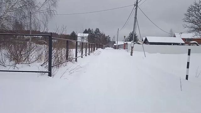 Экскурсия на фазенде.