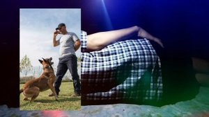 Туш табири - Тушда ит бокар куриш