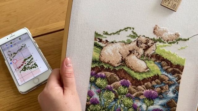 117. Видео-болталка с ответами на ваши вопросы. Все процессы, кухня, собаки, вышиваю Овечек Anchor смотреть онлайн