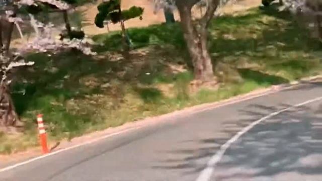 Cherry blossom смотреть онлайн