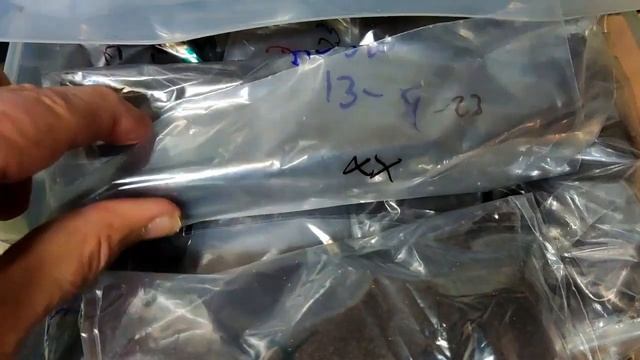 Nothobranchius (Francisco Casado) смотреть онлайн