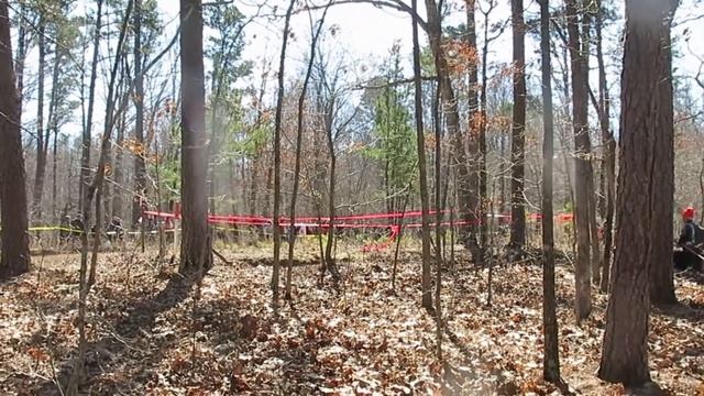 #154 Audi 4000 Quattro 100 Acre Wood Rally 2022 смотреть онлайн