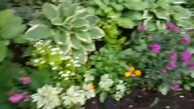 Елена Лобастова Цветы во дворах 12 смотреть онлайн