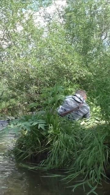 1455 АЗЫ РЫБАЛКИ в малых Реках #иииразум #рыбалка #тайга #хариус #fishing #выживалово #охота #лес