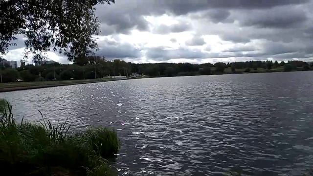 От Борисовских прудов до метро Царицыно - 2019 - 20/26 смотреть онлайн