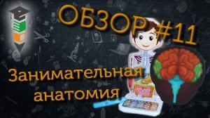 Обзор #11 Занимательная анатомия от Oregon scientific