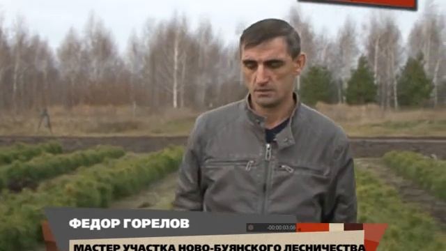 Самарские лесники готовятся к Новому году смотреть онлайн