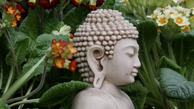 Buddha flute music, relaxing flute music_flute, Flute meditaion music, Flute music, krishna flute,