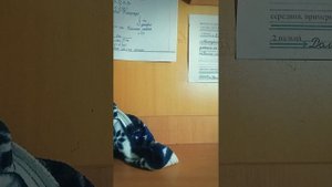 МОИ ПОДЕЛКИ ИЗ БУМАГИ И СКОТЧА!!!