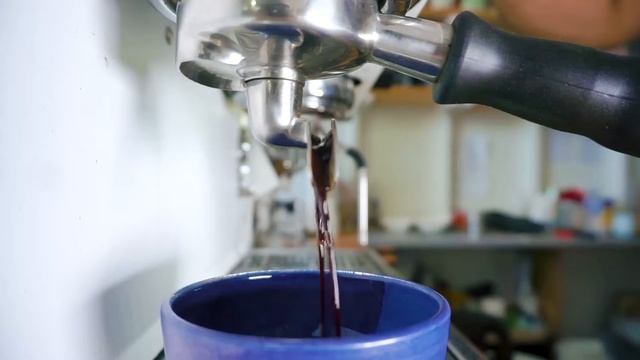 Where should I store my coffee? Should I put my coffee in the fridge?