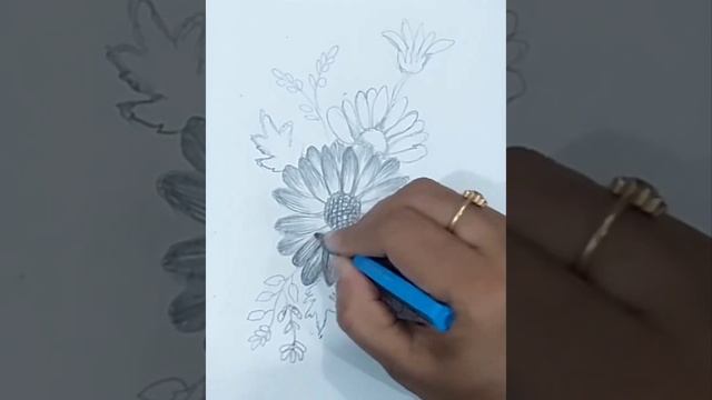 HOW TO MAKE DAISY FLOWER SKETCH, SKETCHING AND DRAWING DAISY FLOWER 🌺