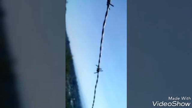 Top 3 arañas chilenas parte #1 смотреть онлайн