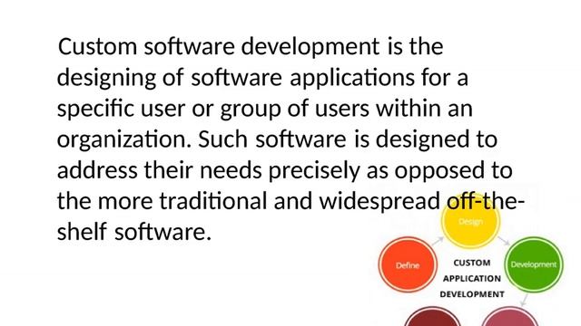Custom Software Development mp4