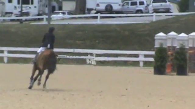 Charon Junior AO Classic Country Heir First Place смотреть онлайн